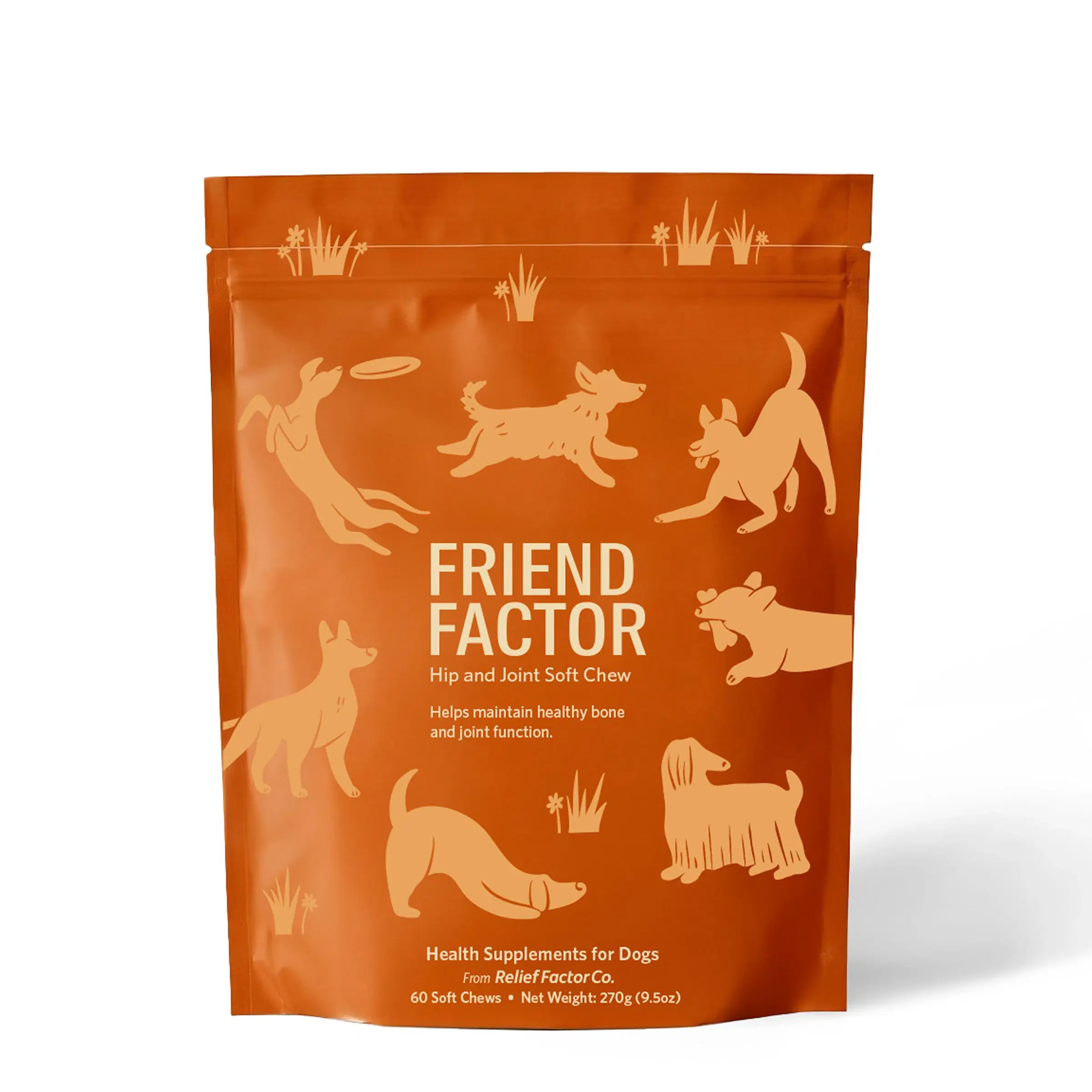 Friend Factor Bag