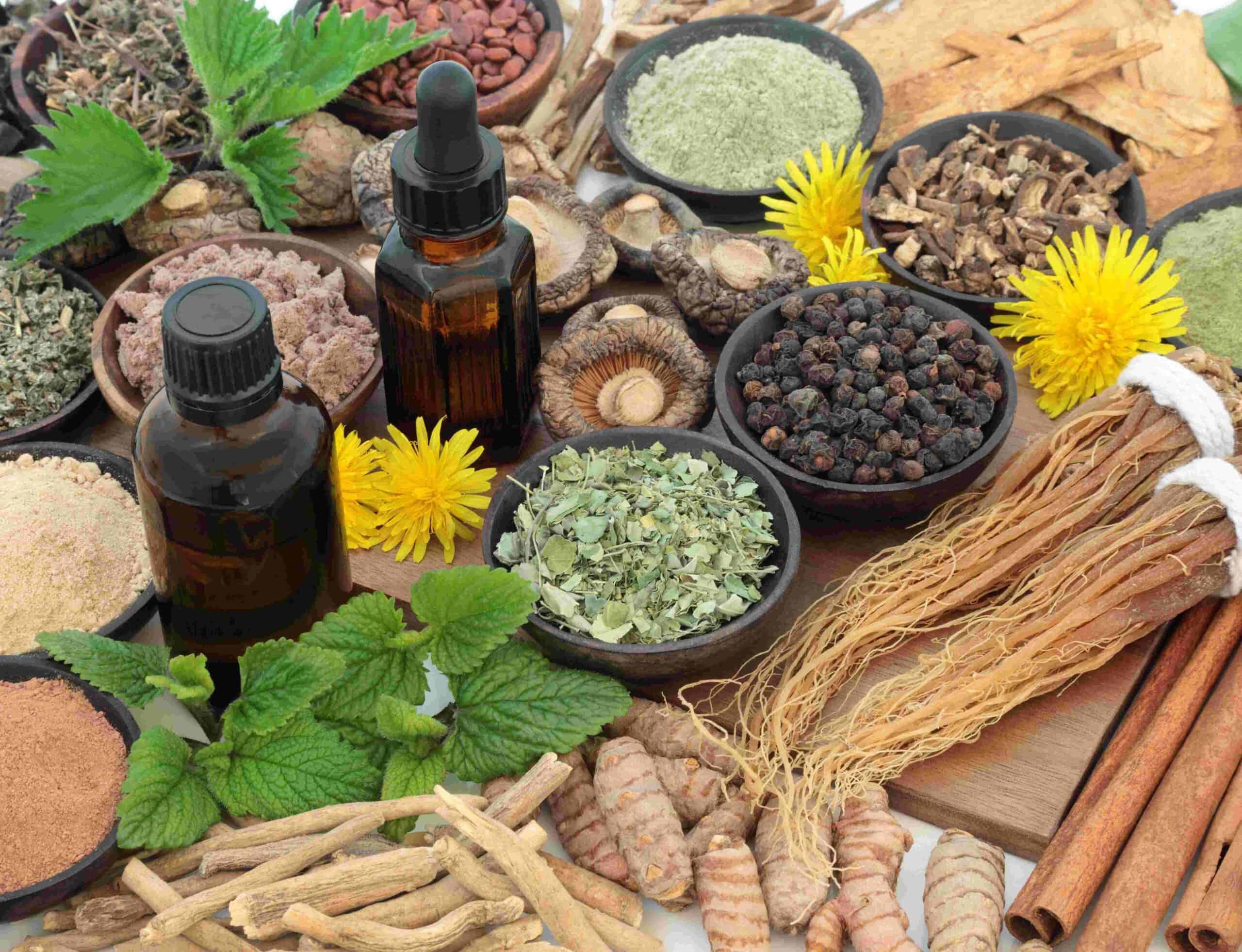 The Power of Adaptogenic Herbs for Sustained Energy