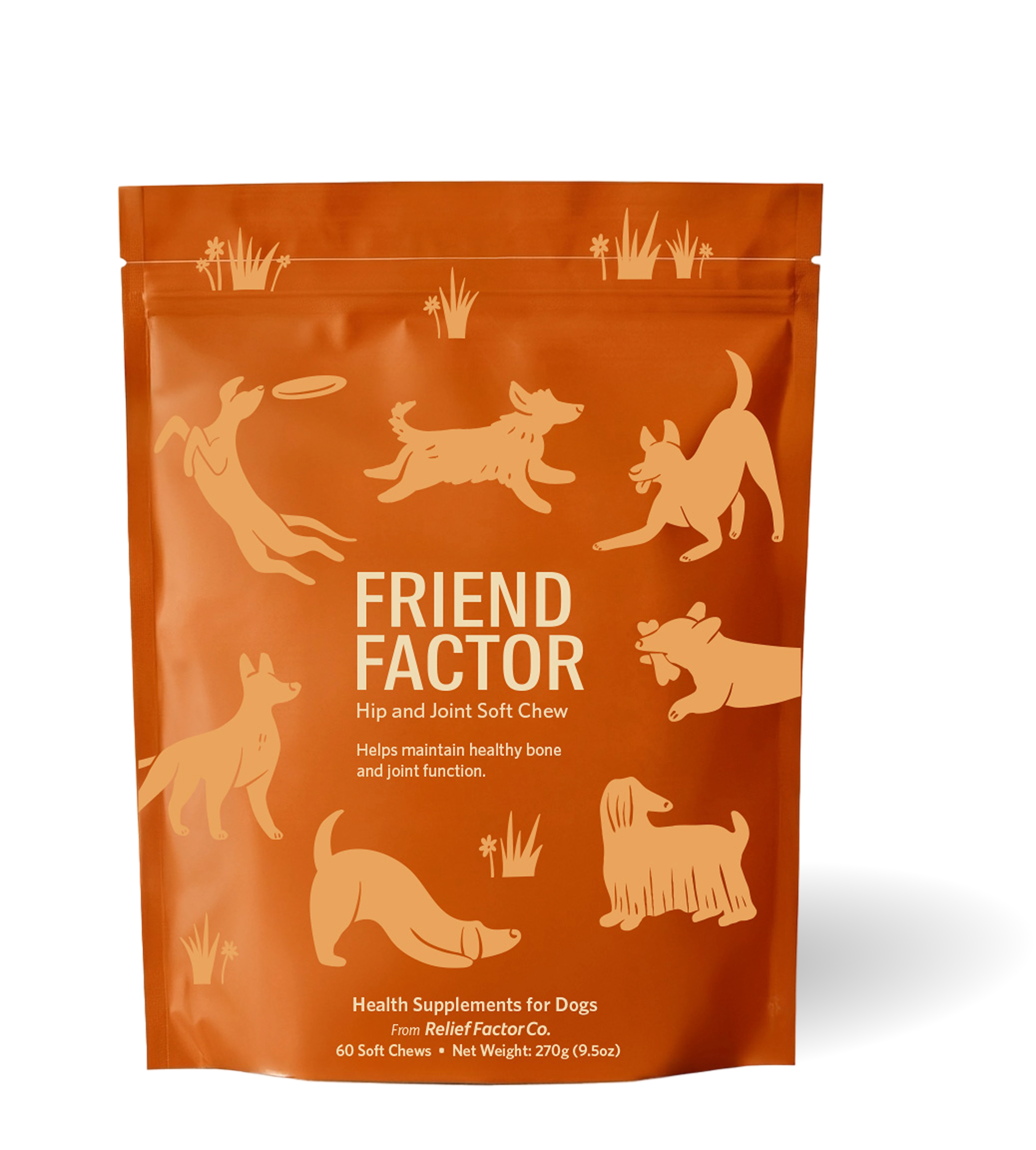 Friend Factor Bag
